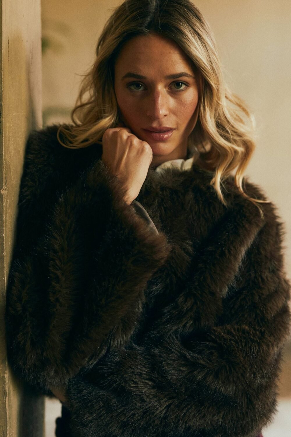 Shelter corto pelo marrón