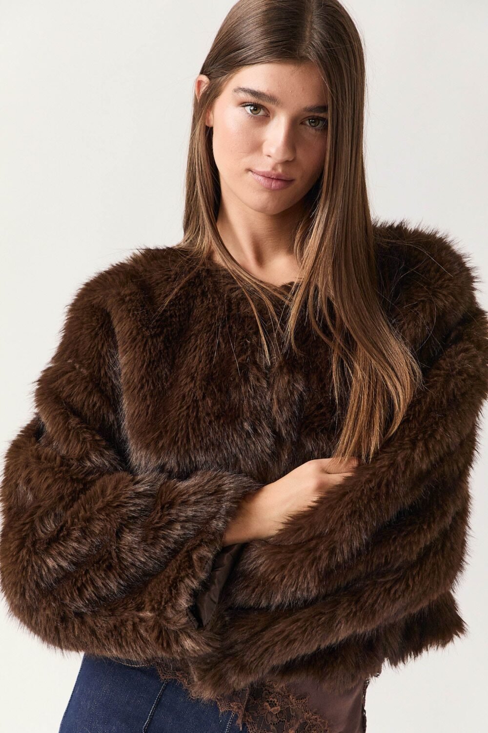 Shelter corto pelo marrón