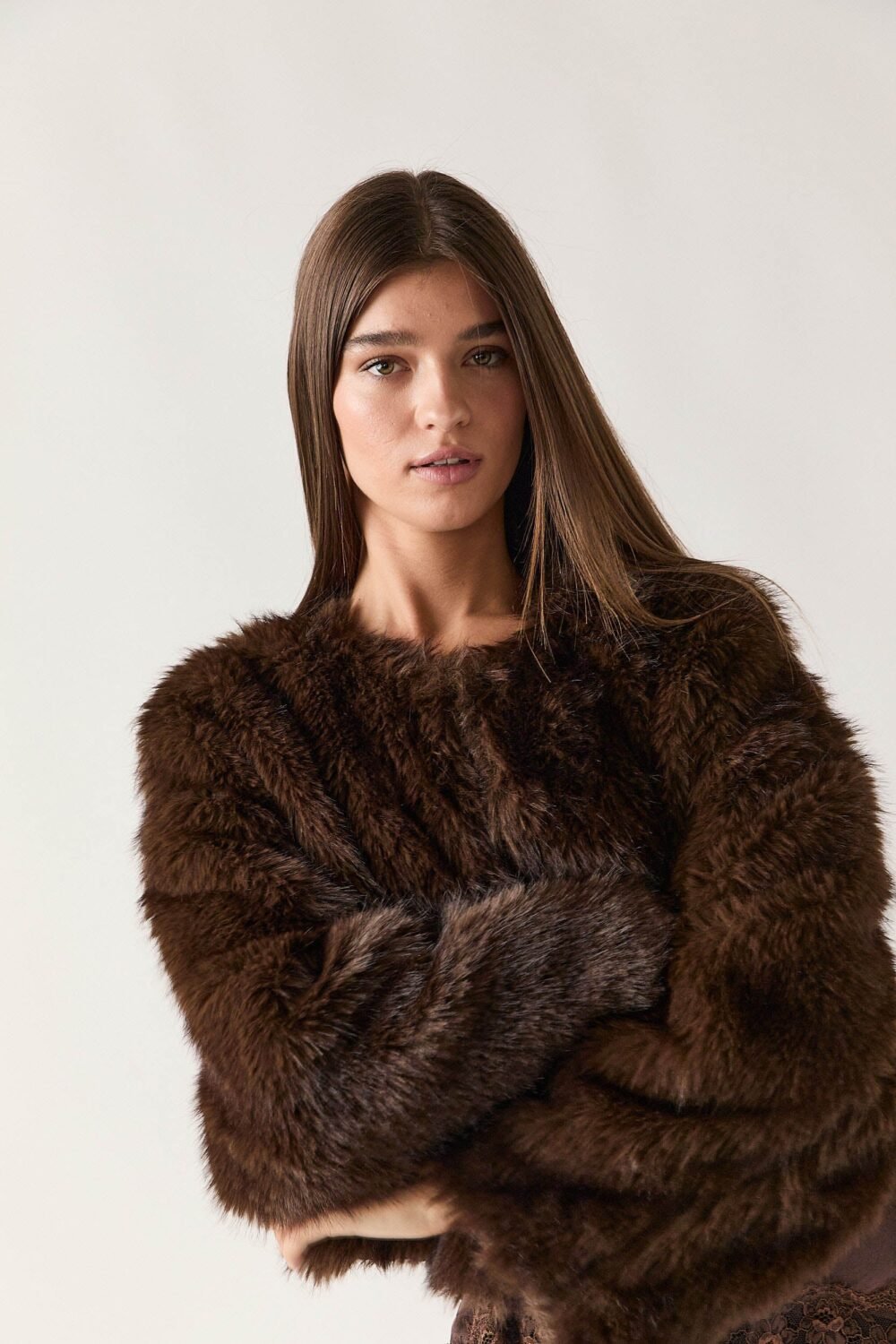 Shelter corto pelo marrón