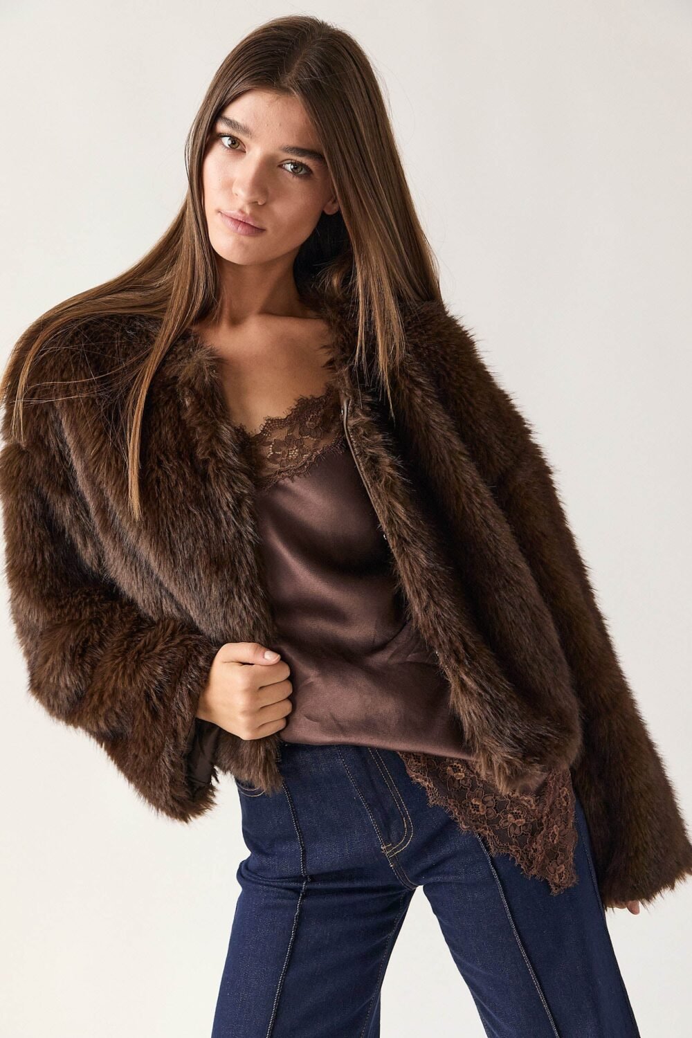 Shelter corto pelo marrón