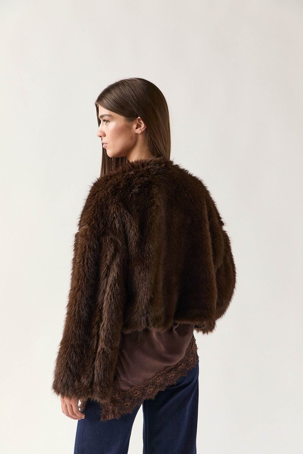 Shelter corto pelo marrón