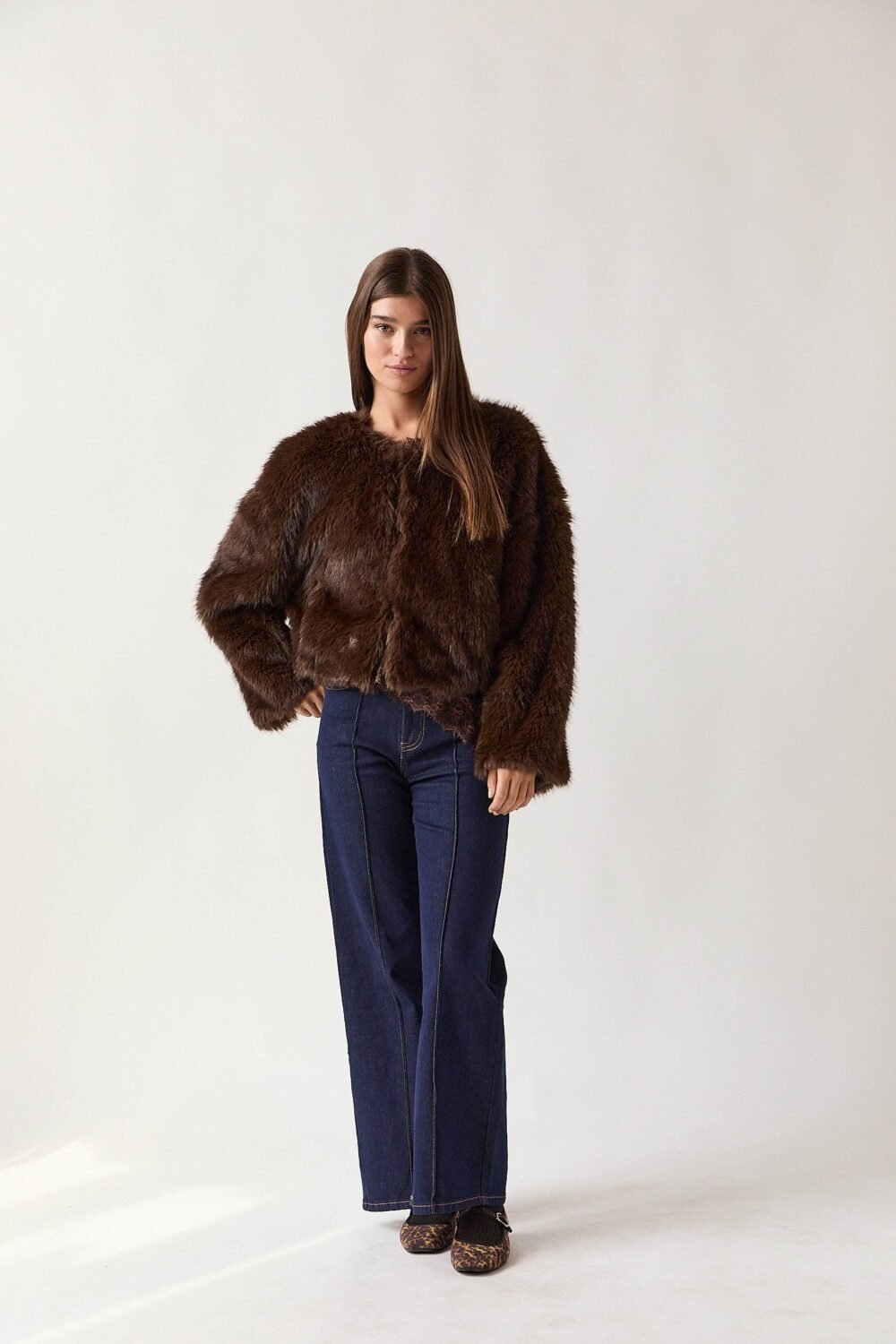 Shelter corto pelo marrón